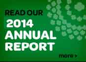 annual report